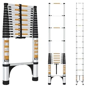 Telescopic Ladder